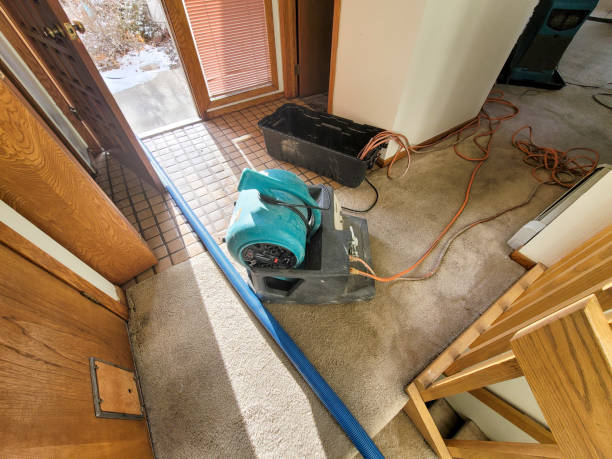 Best Flood restoration services  in Washington, PA