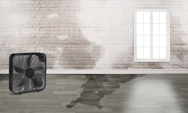 Best Water damage restoration insurance claims  in Washington, PA