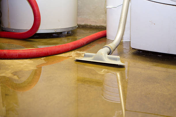 Best Fire Damage Restoration  in Washington, PA